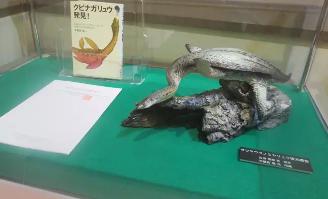 翼龍復原模型（Twitter圖片）