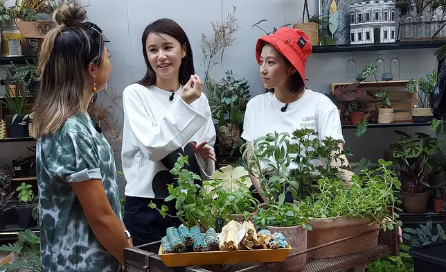 園藝公司創辦人Koyi Chan教路，如何利用香草為生活增添五感小確幸。