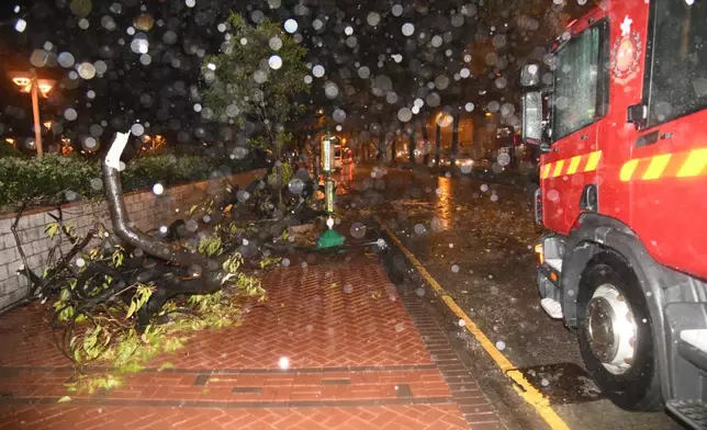 消防將塌樹移至路旁。