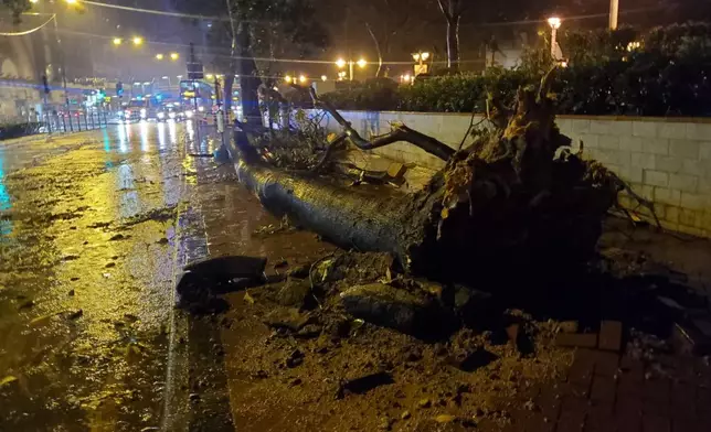 大雨持續，尖沙嘴漆咸道南樹倒阻交通。