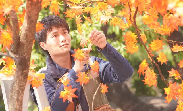 陳志江指「紅葉」在劇中是愛情的象徵，更會引領君好尋覓真愛。
