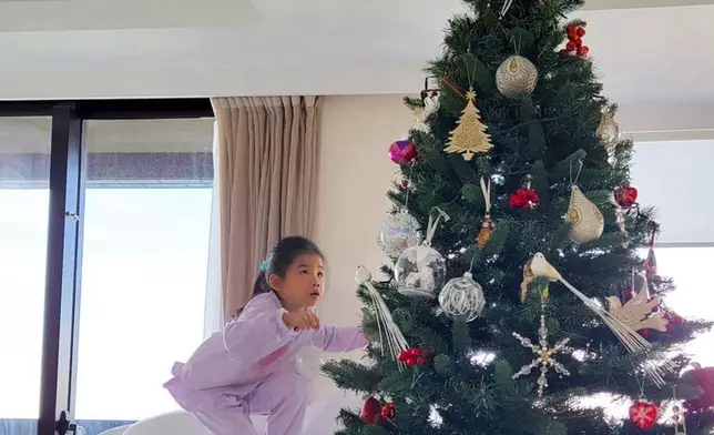 Camilla落力地佈置聖誕樹。