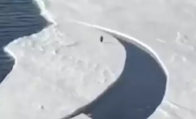 影片截圖