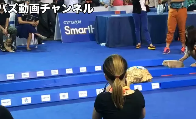影片截圖