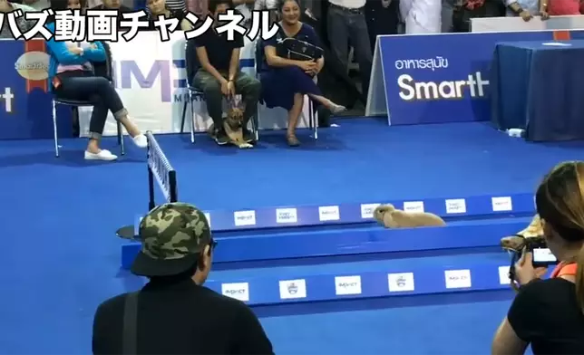 影片截圖