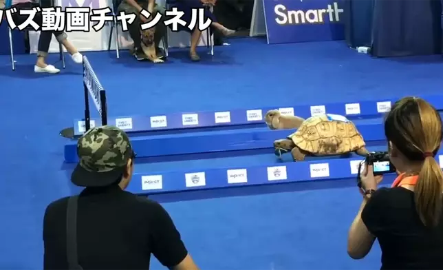 影片截圖
