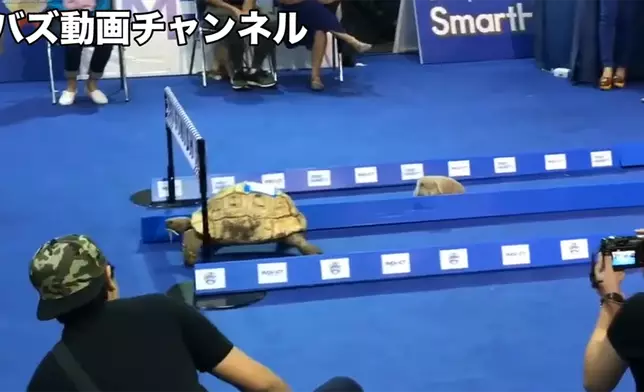 影片截圖