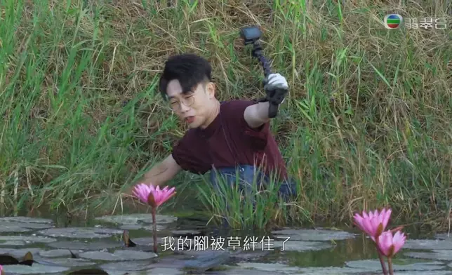 一步一驚心。