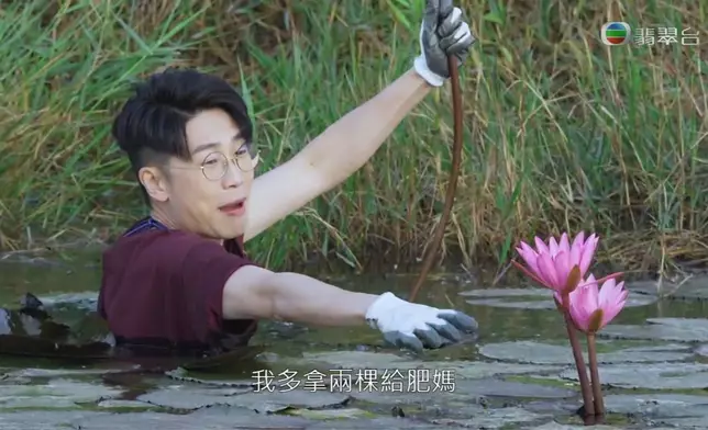 好彩最後都摘到。