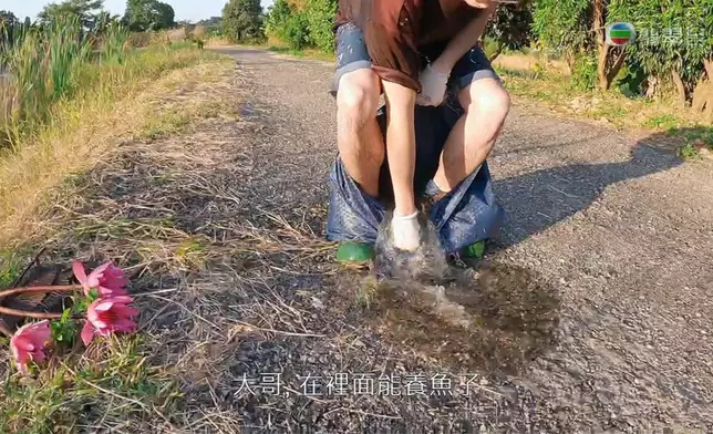 條褲真係入晒水架。