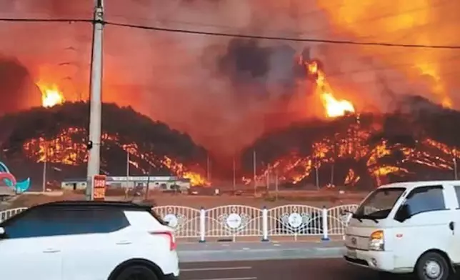 韓國慶尚北道蔚珍郡在4日上午出現山火（網上圖片）