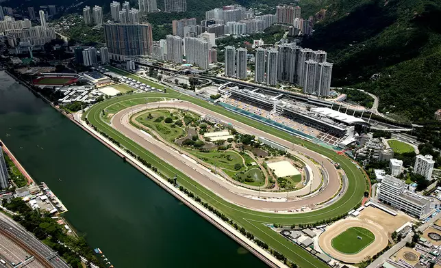 沙田馬場。網上圖片