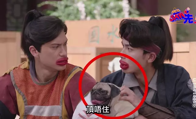 呢幕流口水戲，真係好難忍到笑。