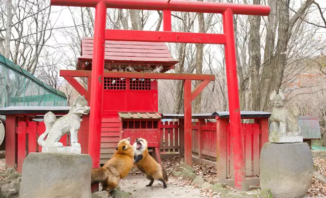 ttt_zegu952 Twitter圖片