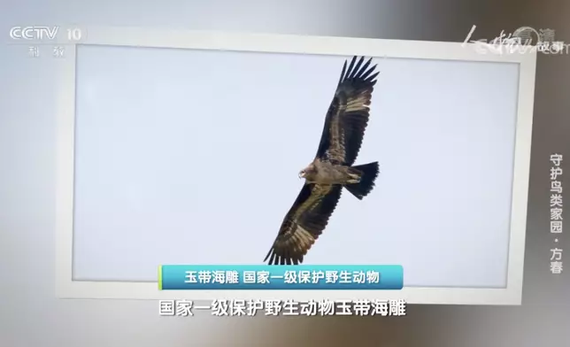影片截圖