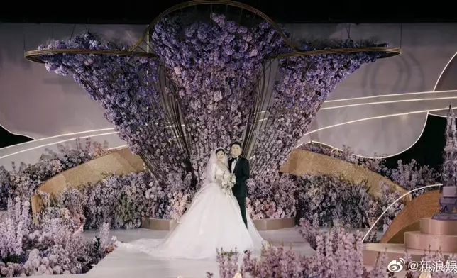 徐夢桃與老公王心迪的西式結婚照。