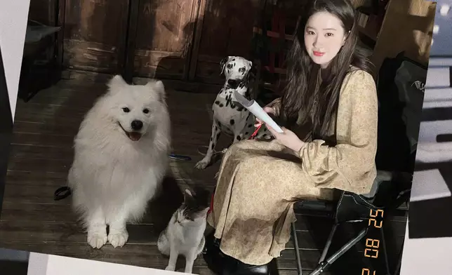 有網民在行街時偶遇劉亦菲