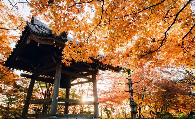 在嵐山嵯峨野地區深處的常寂光寺，是京都賞紅葉的秘境。常寂光寺官網圖片