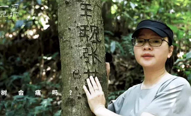看到路邊被刻字的樹，璐璟心疼不已（網上圖片）