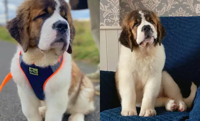 一天前VS一天後