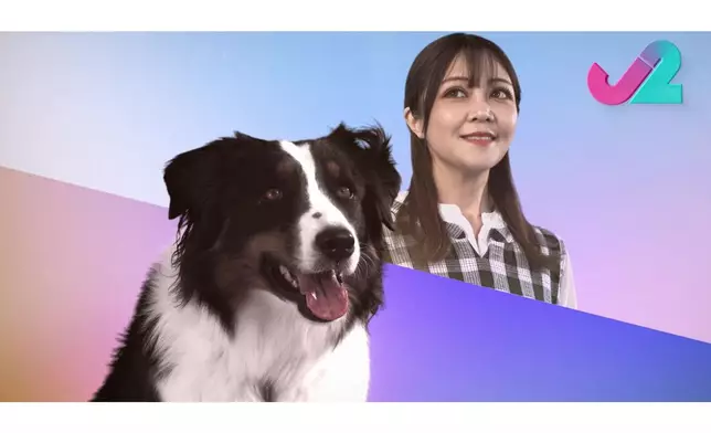 呢啲「神同步」表情，係咪正先。