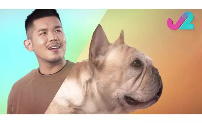 呢啲「神同步」表情，係咪正先。