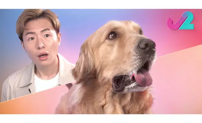 呢啲「神同步」表情，係咪正先。