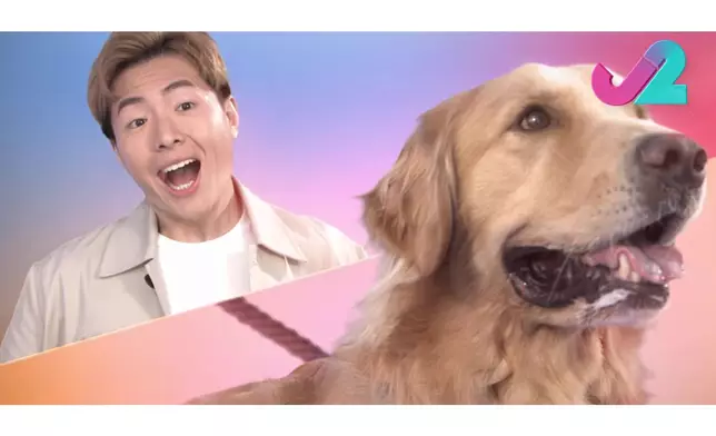 呢啲「神同步」表情，係咪正先。