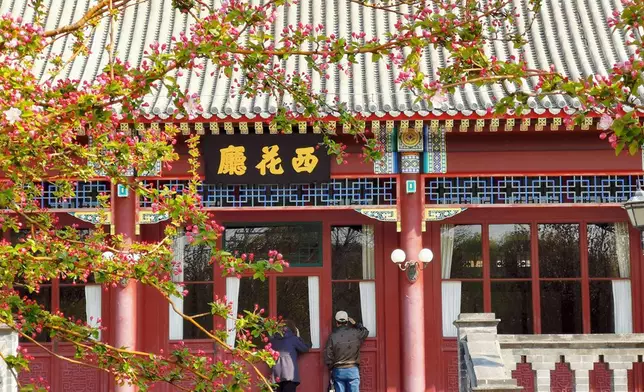 周恩來總理和鄧穎超生前工作處所和居室西花廳的海棠花(網上圖片)