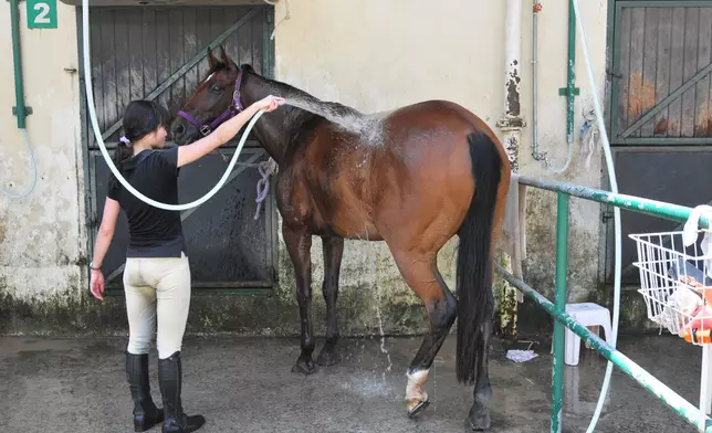 洗馬工多為雜役 (資料圖片)