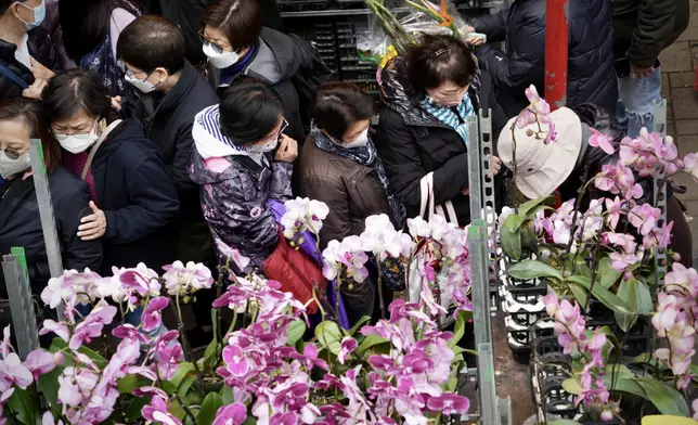 大批市民逛花市。
