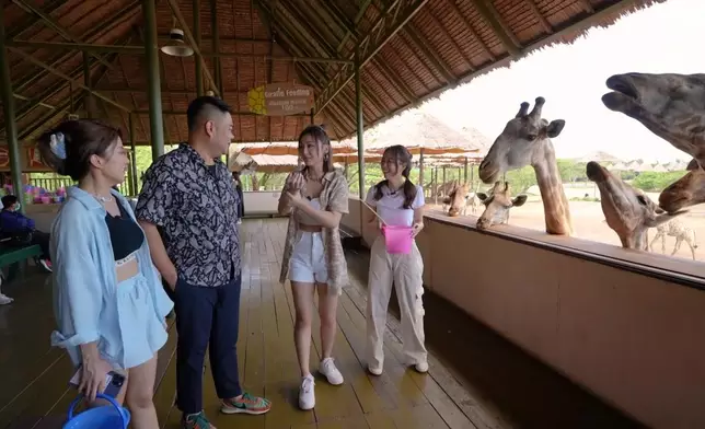 高Ling重演於非洲時被長頸鹿的長舌捲著前臂搶吃食物的經過。