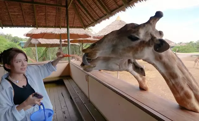 星妤又係驚驚青青咁。