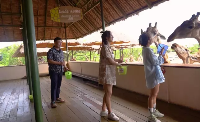 不過都唔夠Michael細膽，一直站在遠處睇人餵。