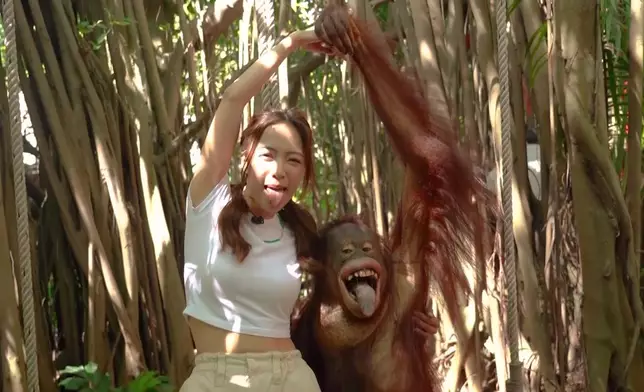 彭慧中跟猩猩伸脷影合照。