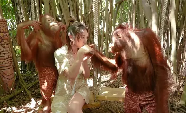 高Ling錫猩猩手背，猩猩就好開心咁向佢送抱。