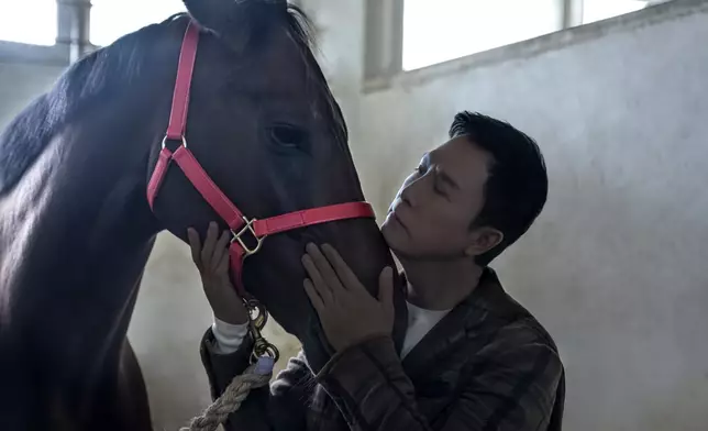 甄子丹特別前往馬房探訪上屆《寶馬香港打吡大賽》的冠軍賽駒「浪漫勇士」作近距離接觸。