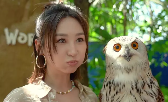 高Ling突然扮起貓頭鷹上嚟！