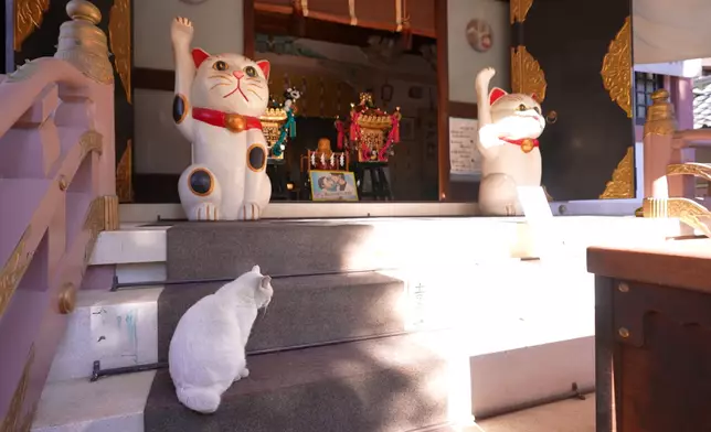 淺草的今戶神社，是招財貓發祥地，近日又有佐藤健到此拍劇加持。