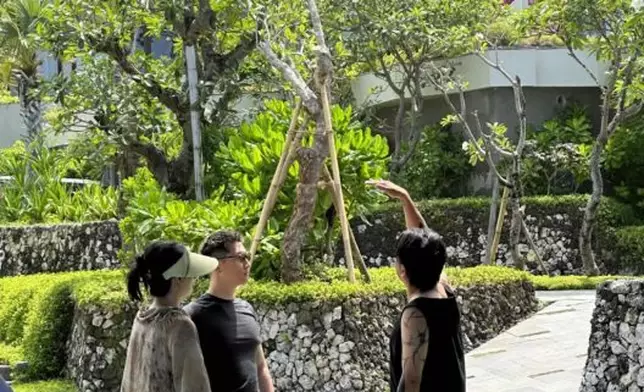 親自為婚禮打點。