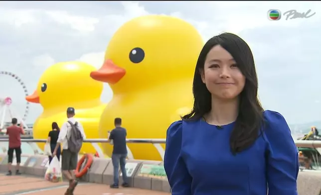 「新聞女神」林婷婷前往添馬公園直擊黃鴨現場