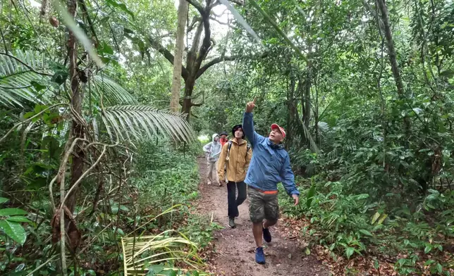 熱帶雨林區的特色除了潮濕外，更經常下雨。