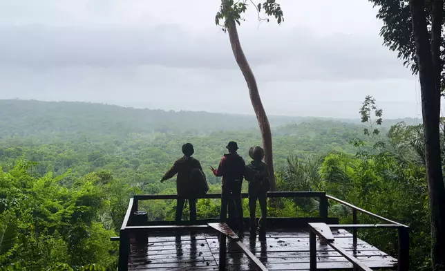 幾經辛苦三人終於登頂，眺望無際的亞馬遜雨林。
