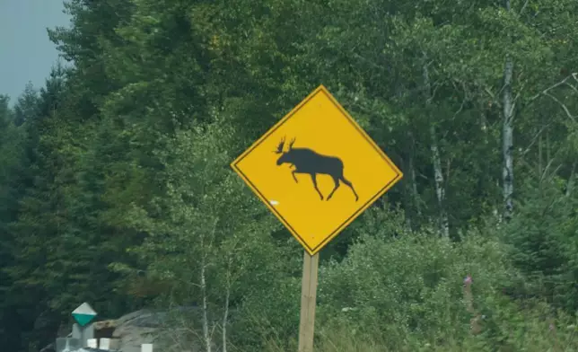在外國登山或開車時，不時會見到注意野生動物出沒或橫過馬路的提示