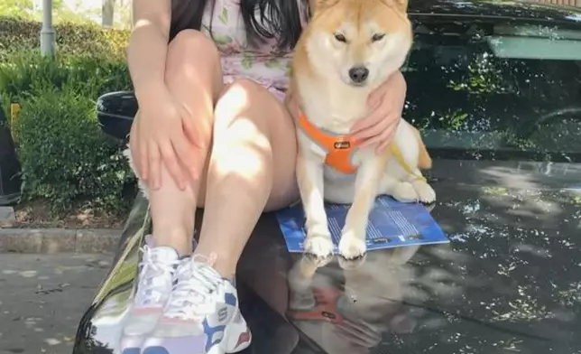 Nichole更曾與愛犬坐在名車車頭蓋拍照。