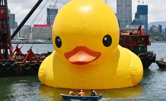 「漏氣」橡皮鴨再次充氣，於維港重新展出。