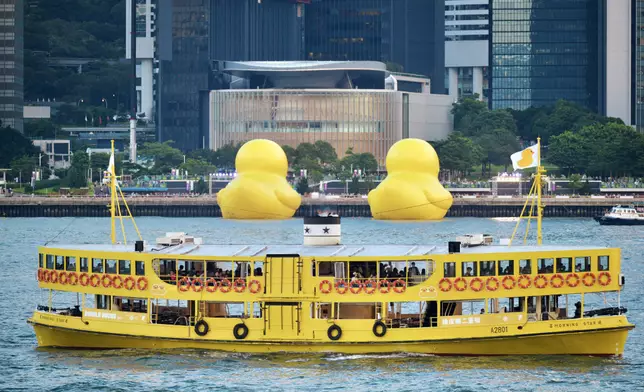 雙鴨重現維港。