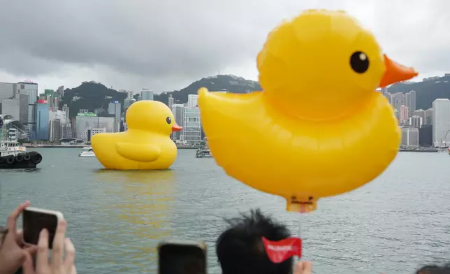 寂寞不怕，還有我陪。