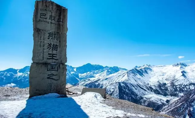 照片在在巴朗山熊貓王國之巔拍攝。