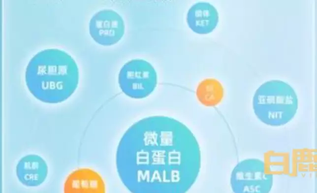 網上圖片